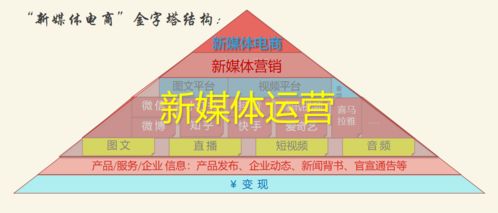新媒體運(yùn)營(yíng)中的技術(shù)賦能 從流量獲取到價(jià)值深挖